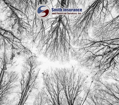 Smith Insurance & Financial Services - Big Bend, WI