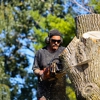 Tosa Tree Care gallery