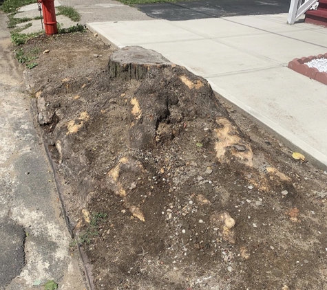 Stump Wrecker - Latham, NY. Stump Grinding Schenectady NY