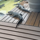 Gatorland