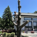 On The Block Landscape and Tree Service - Arborists