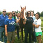 Whetstone Valley Stables