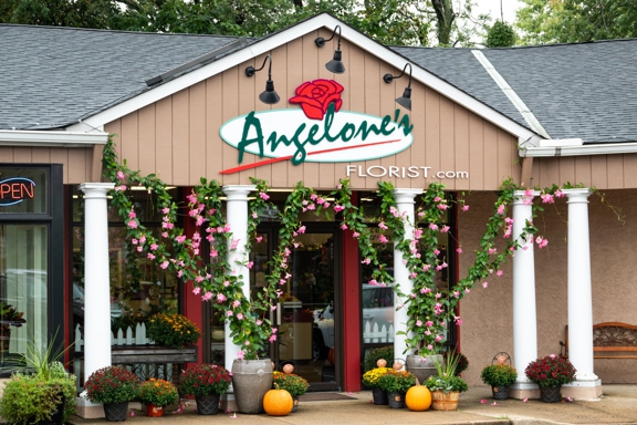 Angelone's Florist - Raritan, NJ