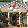 Angelone's Florist - Raritan, NJ