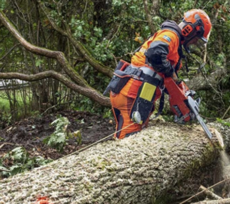 Launceston Mower & Chainsaw Centre - Launceston, TAS