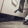 Delta Pest Control gallery