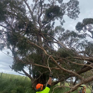 Hilltops Vegetation Services - Young, NSW