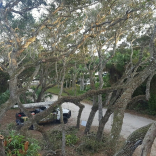 Anthony's Tree Trimming LLC - Fort Pierce, FL. 20 live oaks 
Removed all dead beanches over structure, pepper tree vines, thinned out & cleaned up