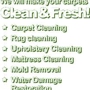 Brooklyn Carpet Cleaning CO