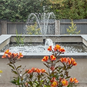 Gallery Image Number 6