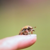 AWS Extermination gallery