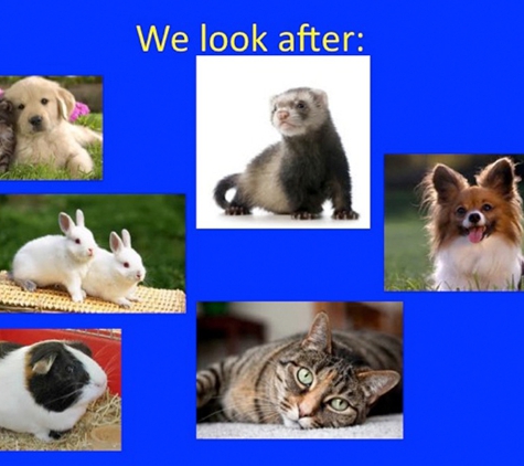 Bassendean Veterinary Hospital - Bassendean, WA. We treat your best friend like our best friend!