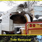 Mike's Tree Service