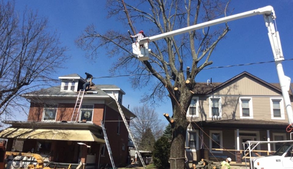 New View Tree Service - Blairsville, PA