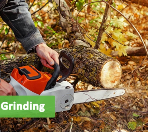 Mr Trees - Riverhills, QLD. Stump Grinding