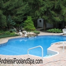 Andressi Pool & Spa, LLC - Swimming Pool Repair & Service