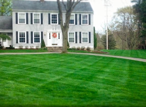 Almighty Snow & Lawn Property Management Co. - Davison, MI