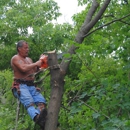 Green Mountaineers Tree Service - Tree Service