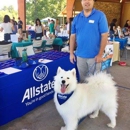Allstate Insurance - Insurance