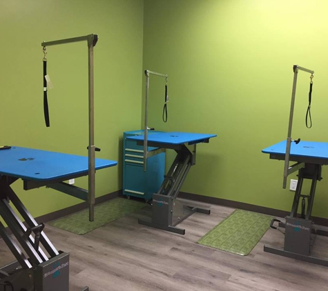 paradise pets grooming and daycare - tarzana, CA