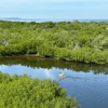 Florida Blue Adventures gallery