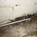 FDP Mold Remediation of Edison - Mold Remediation