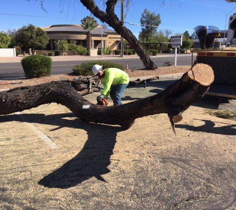 Techer's Tree Service