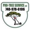 Pro-Tree Service gallery