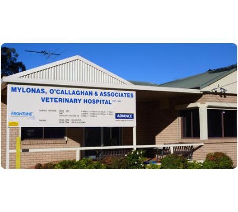 Mylonas & O'Callaghan Vet Hospital - Blacktown, NSW