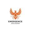 Emergince Advisors gallery
