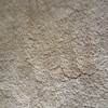 ColorFix Carpet Color Repair gallery