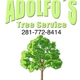 Adolfo Tree Service