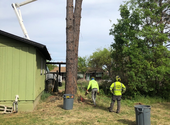 Lake County Tree Service Inc. - Kelseyville, CA