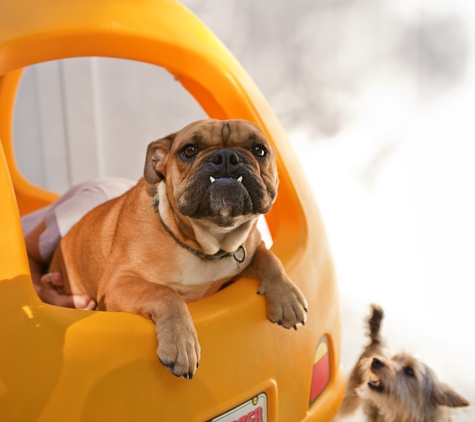 Shoreline Pet Lodge - Branford, CT