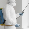 Maple Lane Pest Control gallery