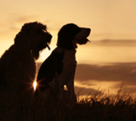 Pet Memories Cremation Service - Oklahoma City, OK