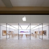 Apple Smith Haven gallery