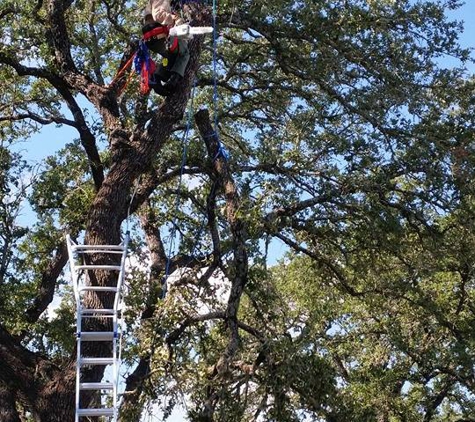 Hill Country Tree Works - Blanco, TX