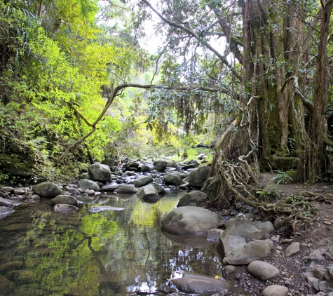 Maui Hiking Safaris - Makawao, HI