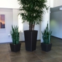 Pacific Plantscapes Inc