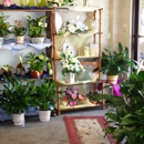 Stetson Flowers of Deltona Inc - Florists