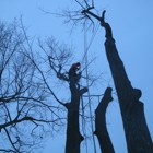 Richard's Tree & Crane Service