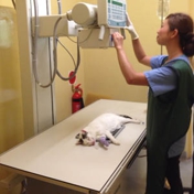 Gallery Image Number 6