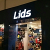 Lids gallery