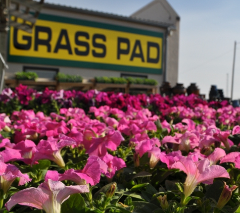 Grass Pad - Olathe, KS