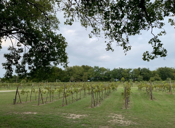 Barn Hill Vineyards - Anna, TX