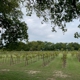 Barn Hill Vineyards