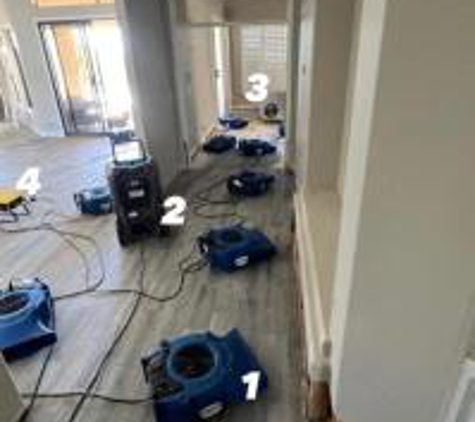 Green Guard Mold Remediation Of Union - Union, NJ