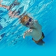 Aqua-Tots Swim School Mansfield