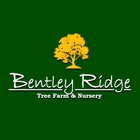 Bentley Ridge Tree Farm & Nursery